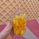 망고당 | 보홀 토피토피 망고아이스크림 솔직후기