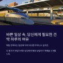 평창밧데리 | KTX로 떠나는 평창 당일치기 여행, 하루 만에 유럽과 한류를 모두 경험하다!