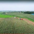 양금농장 이미지