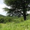 송금리경로당 이미지