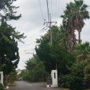 금능초등학교 이미지