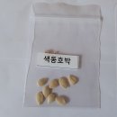 색동호박씨 도착요 이미지