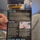 타스만 빙하투어-보트타고 빙하 만져보기, 허미티지 마운트쿡 빙하투어 후기, 마운트쿡 트래킹 코스 총정리