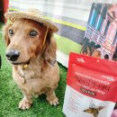 (주)우리덴탈 이미지