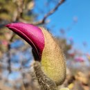 가산1리경로당 이미지