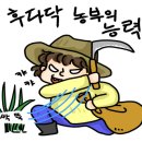 달콤한꿈을꾸는베리농장 이미지