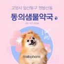 동의샘물약국 이미지