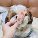 원탑덴탈 이미지