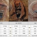 용산-현장-17 이미지