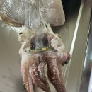 로하스 수산식품거점단지 이미지