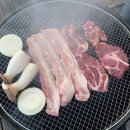 8코기네 애견펜션 이미지