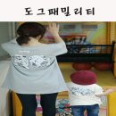 도그패밀리 이미지