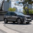 DS 모터스 이미지