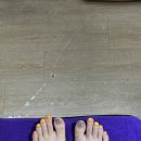 아르고네일 이미지