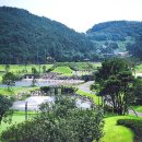 태안비치컨트리클럽 이미지