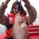 (주)황금바다 이미지