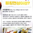 멕시카나 검암해피점 | 검암동 맛집 페리카나 내돈내사솔직후기