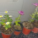 한백세탁 이미지