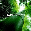 판매왕 치과기공소 네이버블로그