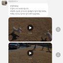 텐빌멍하우스 이미지