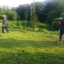 로하스타운 입구 이미지