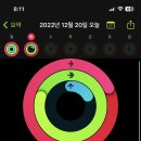 서울네스트