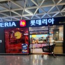 롯데리아 파주운정점 : 스탬플리 쿠폰 토스 고양이키우기 브랜드콘 교환 후기