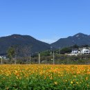 황산공원 이미지