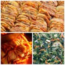 후다닭농장 | [160일] 지난 사진 다 투척....;;;