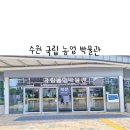 일구농장 | 수원 국립 농업 박물관 수원 아이와 가볼만한곳 앙부일구 기획 전시 곤충 체험존