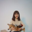 도그(DOGUE) 이미지