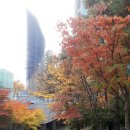 송파구 책읽는 역사길 이미지