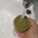 워시에브리데이 | 에브리데이 폼폼 말차 클렌징세트 저자극비누 솔직후기