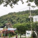 괴정승학 이미지