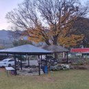 느티나무집펜션 이미지