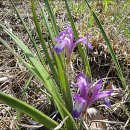 송강농장 이미지