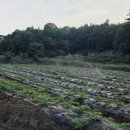 갓골농장 이미지