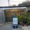 상미농원 이미지