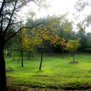 정읍산외한우 이미지