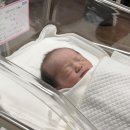 2025년 7월 16일 신콩콩 탄생!