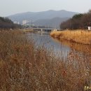 성남누비길 4구간 ②동원동(2017/03/05, 태재-불곡-휘남에-구미-오리-동원, The Lark In The Clear Air) 이미지