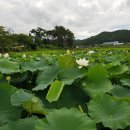 장부다리주유소 이미지