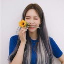 조헤어