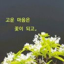 우아하개 이미지