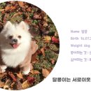 카페천국중구하센호텔점