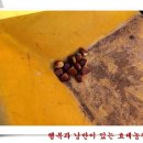 형제농장 이미지