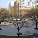 북구청소년회관 앞 이미지