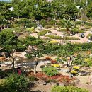 제주허브동산 이미지