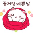 우정포장 이미지