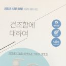 아쿠아헤어 네이버블로그